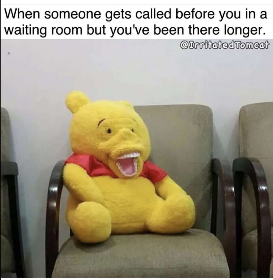 memes - winnie the pooh funny toy - When someone gets called before you in a waiting room but you've been there longer. Tomcat