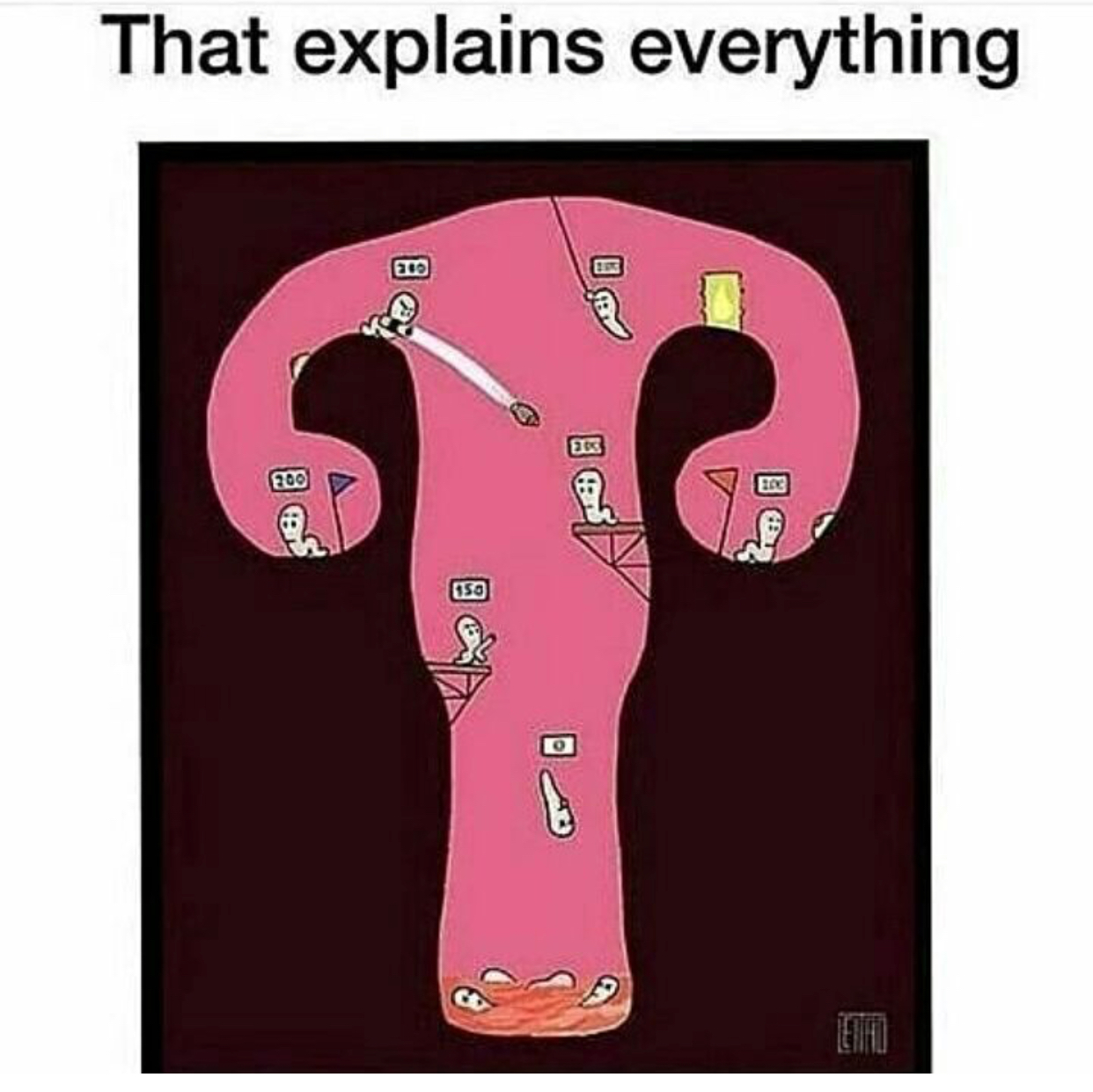 memes - worms uterus - That explains everything