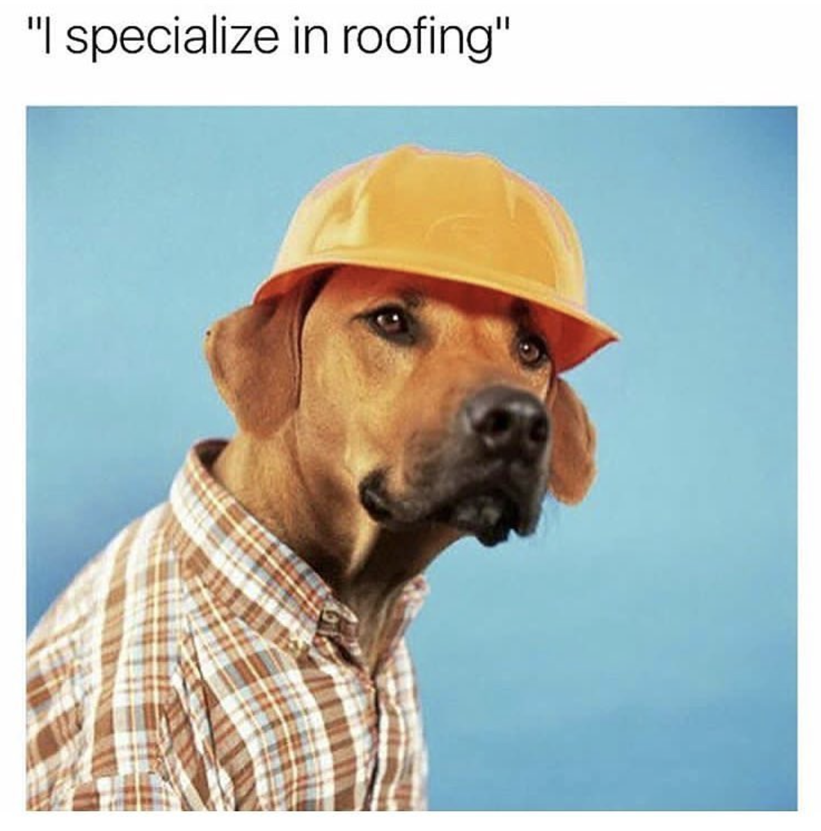 memes - my specialty is roofing - "I specialize in roofing"
