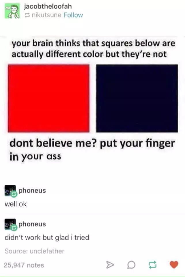 memes - Meme - jacobtheloofah 40 nikutsune your brain thinks that squares below are actually different color but they're not dont believe me? put your finger in your ass phoneus well ok phoneus didn't work but glad i tried Source unclefather 25,947 notes