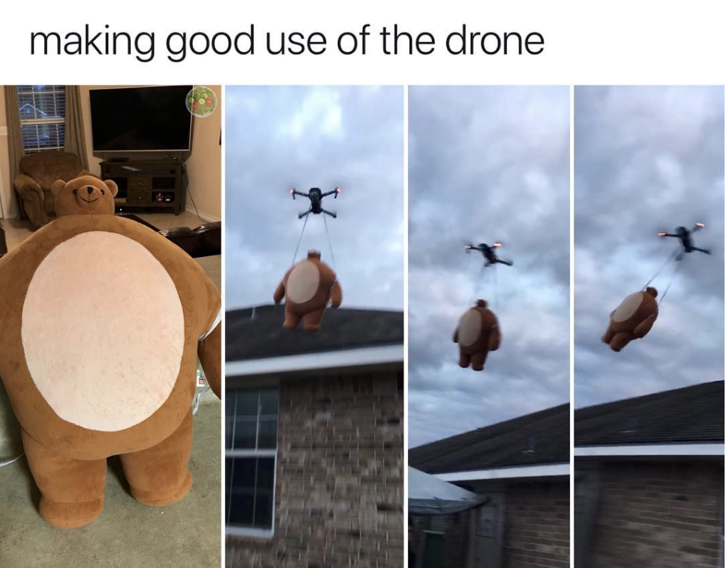 meme stream - bear drone meme - making good use of the drone