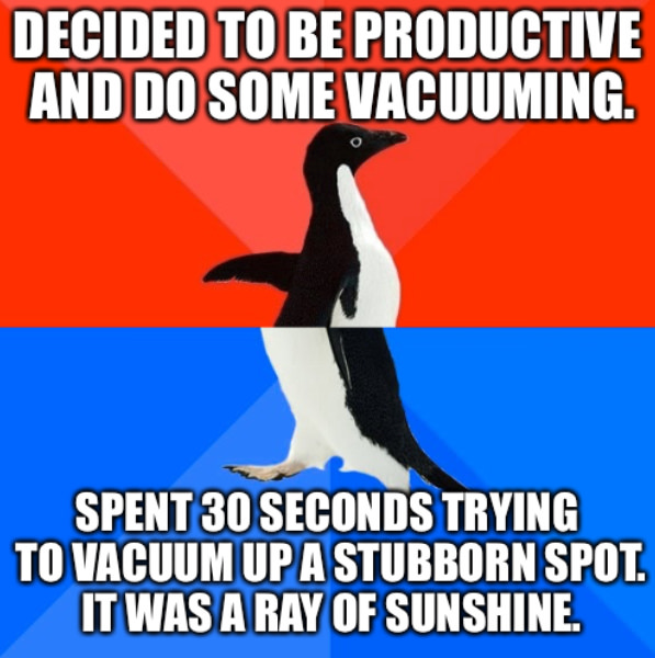 meme stream - socially awkward penguin memes - Decided To Be Productive And Do Some Vacuuming. Spent 30 Seconds Trying To Vacuum Up A Stubborn Spot. It Was A Ray Of Sunshine.