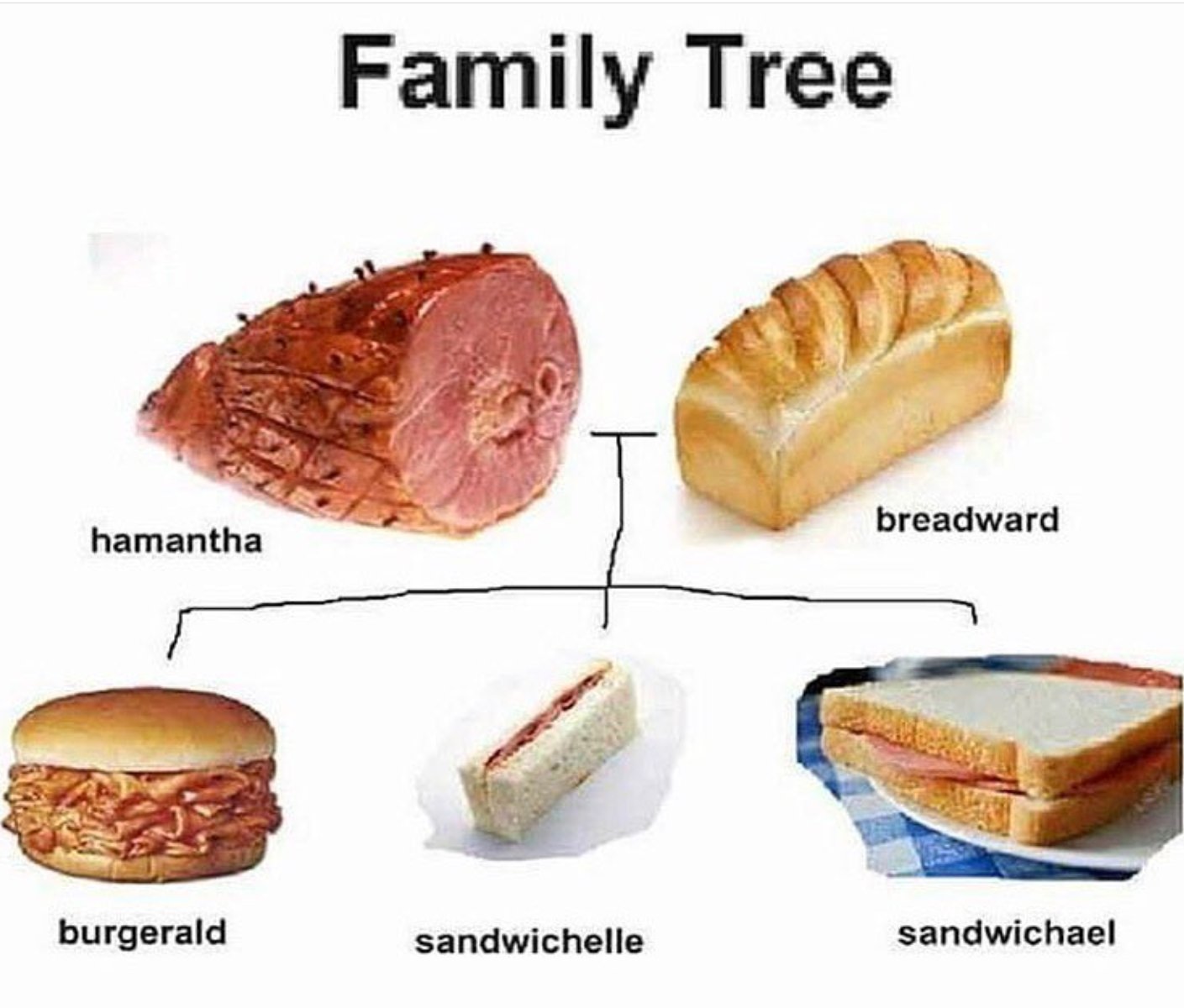 meme bike is short for bichael - Family Tree breadward hamantha burgerald sandwichelle sandwichael