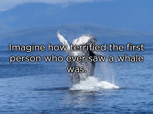 20 Shower Thoughts To Think About Next Time You Bathe