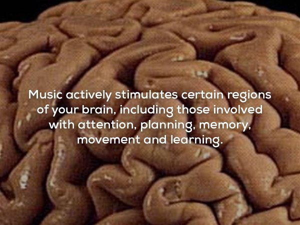 grey brain - Music actively stimulates certain regions of your brain, including those involved with attention, planning, memory movement and learning.