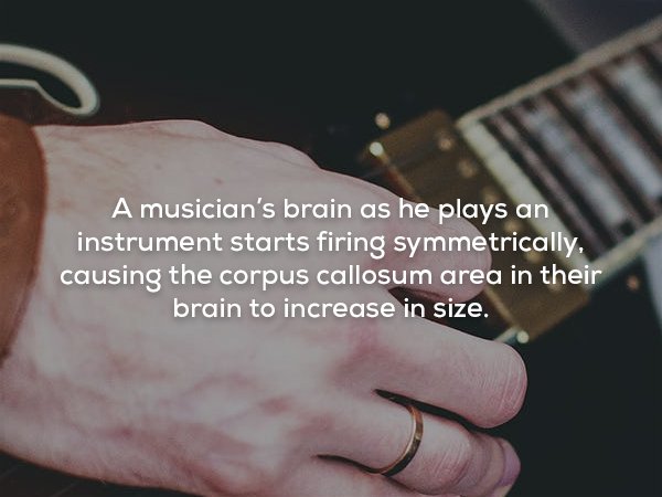 A musician's brain as he plays an instrument starts firing symmetrically, causing the corpus callosum area in their brain to increase in size.
