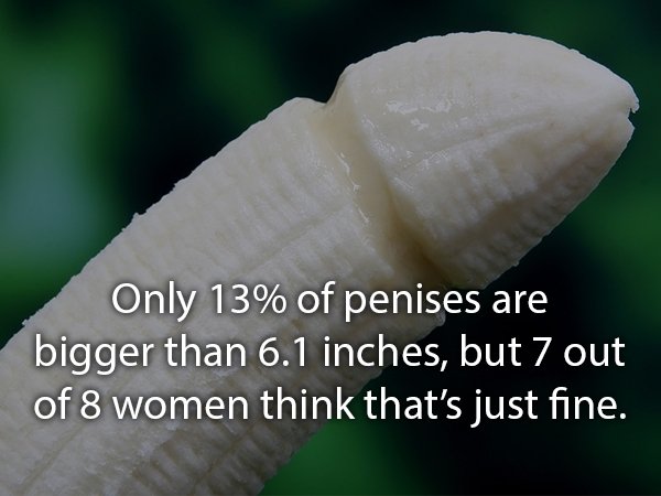 relationship memes of sex facts Only 13% of penises are bigger than 6.1 inches, but 7 out of 8 women think that's just fine.