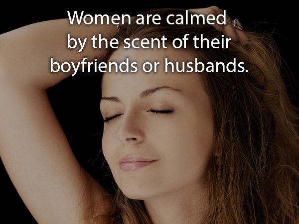 relationship memes of beauty Women are calmed, by the scent of their boyfriends or husbands.