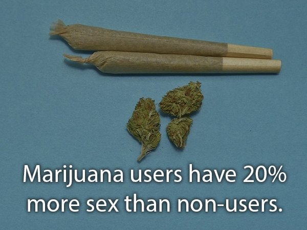 relationship memes of wood Marijuana users have 20% more sex than nonusers.