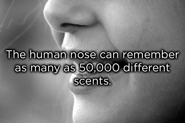 17 Fascinating Facts About Human Anatomy You Probably Didn't Know