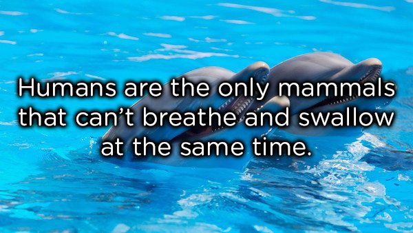 17 Fascinating Facts About Human Anatomy You Probably Didn't Know