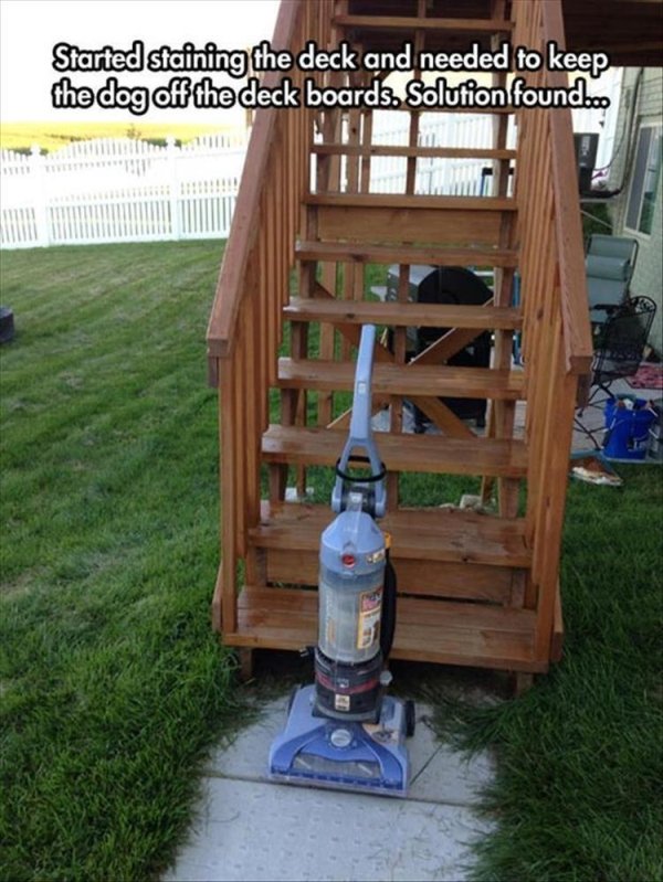 keep dogs off deck - Started staining the deck and needed to keep the dog off the deck boards. Solution found.com