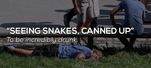 Alcohol intoxication - "Seeing Snakes, Canned Up" To be incredibly drunk.
