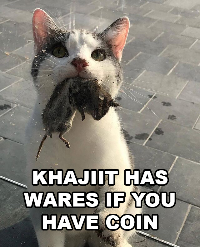 meme - photo caption - Khajiit Has Wares If You Have Coin