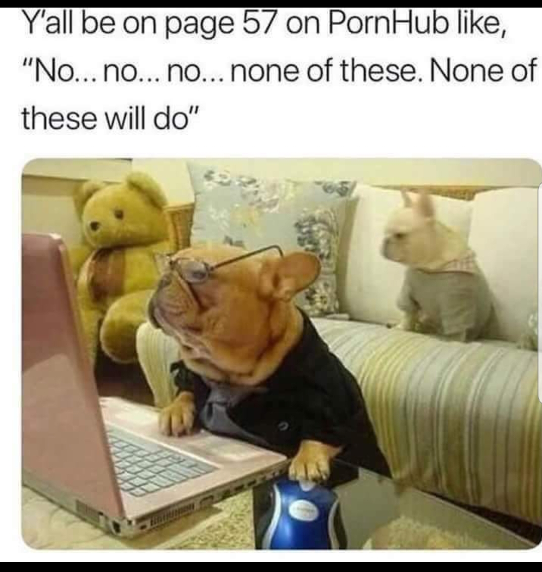 meme - no no no none of these will do meme - Y'all be on page 57 on PornHub , "No... no... no... none of these. None of these will do"