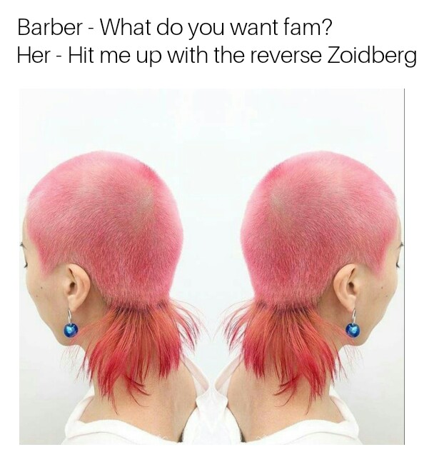meme - Hairstyle - Barber What do you want fam? Her Hit me up with the reverse Zoidberg