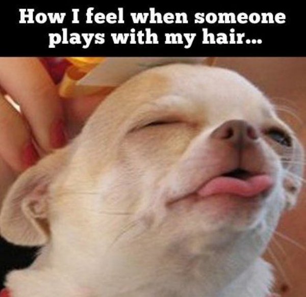 guy plays with your hair - How I feel when someone plays with my hair...