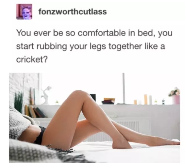 fonzworthcutlass You ever be so comfortable in bed, you start rubbing your legs together a cricket?