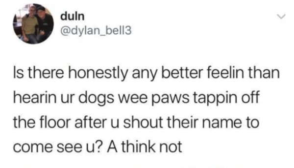 quotes - duln Is there honestly any better feelin than hearin ur dogs wee paws tappin off the floor after u shout their name to come see u? A think not