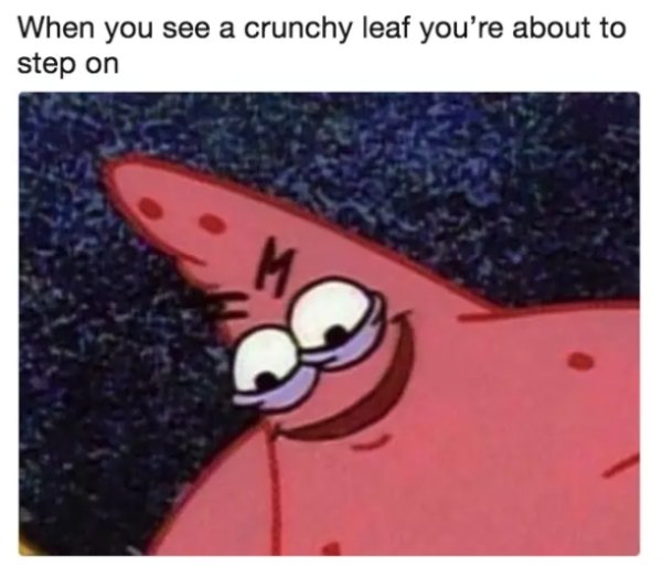 funny patrick memes - When you see a crunchy leaf you're about to step on