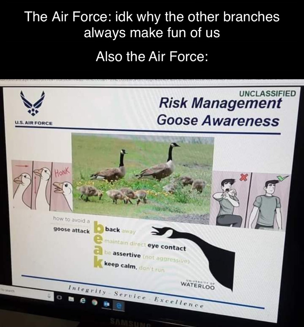 us air force - The Air Force idk why the other branches always make fun of us Also the Air Force Unclassified Risk Management Goose Awareness Us Air Force Honk how to avoid goose attack e back way n deye contact be assertive keep calm Waterloo Integrity S