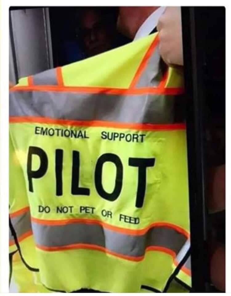 banner - Emotional Support Pilot Do Not Pet Or Fb