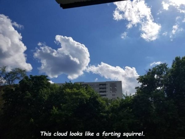 farting squirrel cloud - This cloud looks a farting squirrel.
