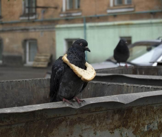 22 Rich Birbs Showing Off Their Bread Bling