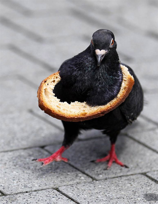 22 Rich Birbs Showing Off Their Bread Bling