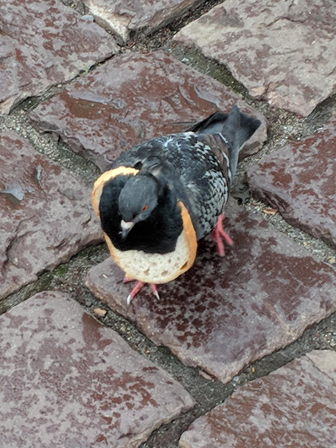 22 Rich Birbs Showing Off Their Bread Bling