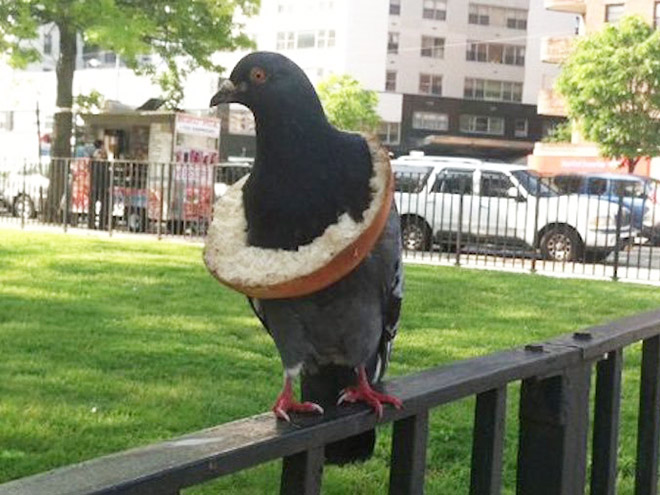 22 Rich Birbs Showing Off Their Bread Bling