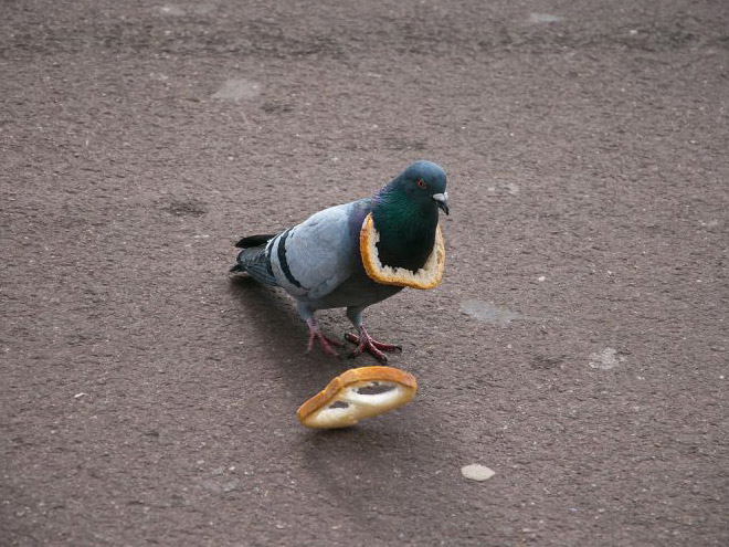 22 Rich Birbs Showing Off Their Bread Bling