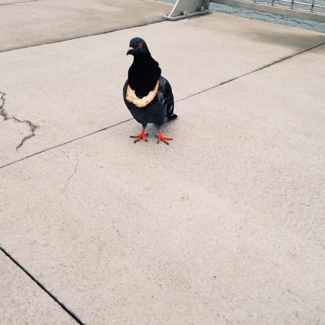 22 Rich Birbs Showing Off Their Bread Bling