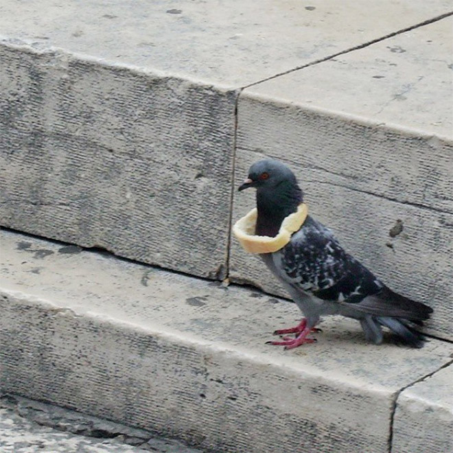 22 Rich Birbs Showing Off Their Bread Bling