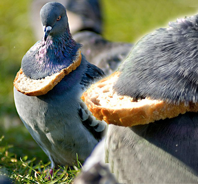 22 Rich Birbs Showing Off Their Bread Bling