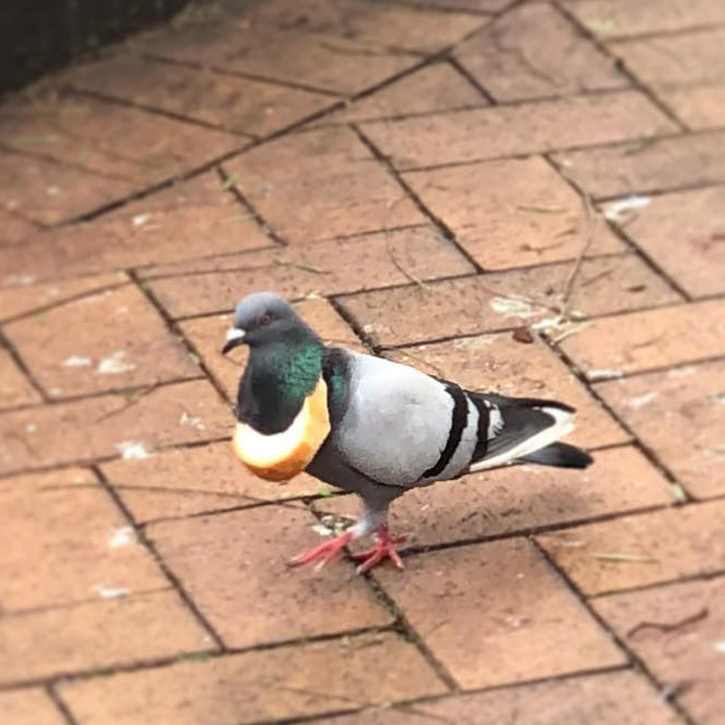 22 Rich Birbs Showing Off Their Bread Bling