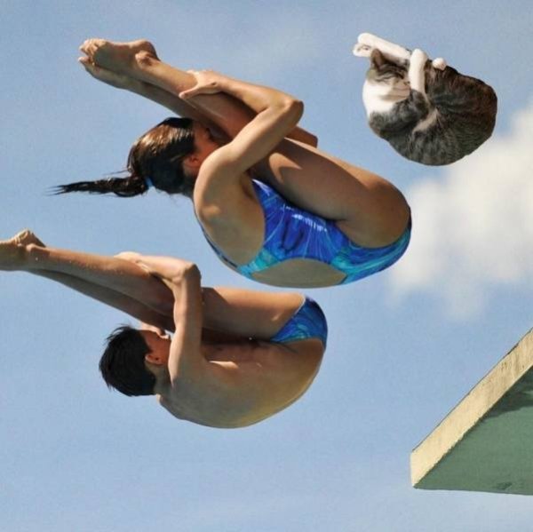 diving sport