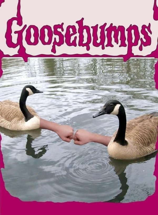 goosebumps meme - Goosebumps