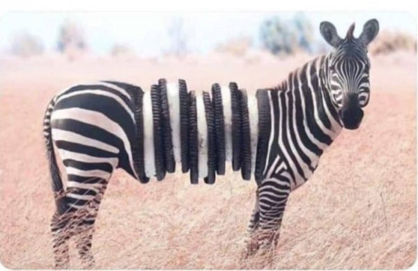 oreo zebra