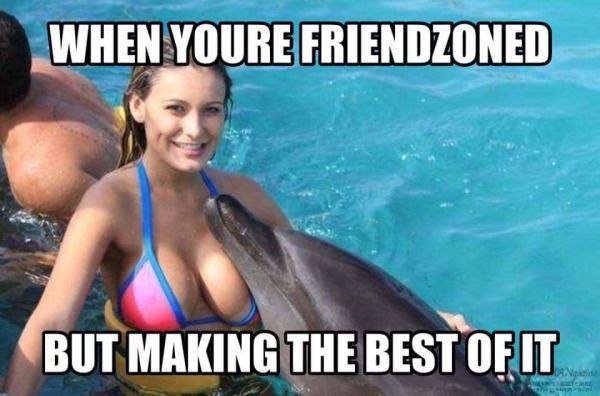 having fun memes - When Youre Friendzoned But Making The Best Of It Dan
