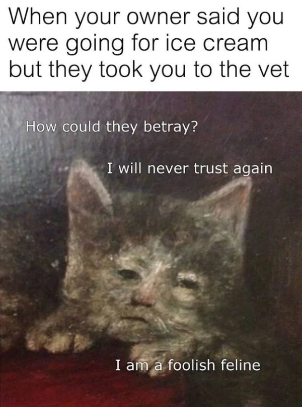 cat painting meme - When your owner said you were going for ice cream but they took you to the vet How could they betray? I will never trust again I am a foolish feline