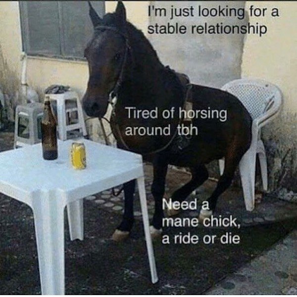 tired of horsing around meme - I'm just looking for a stable relationship Tired of horsing around tbh Need a mane chick, a ride or die
