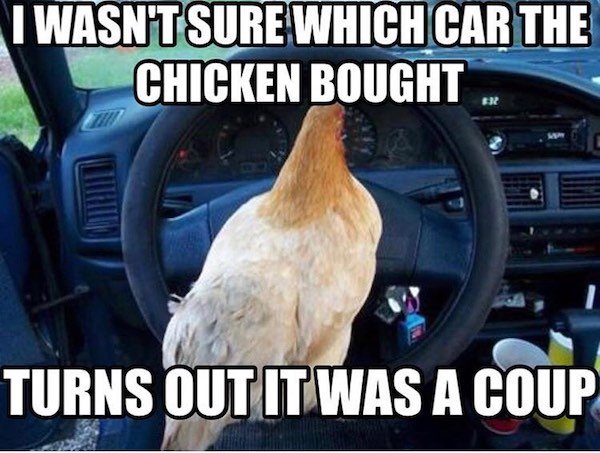 mijas - I Wasn'T Sure Which Car The Chicken Bought Turns Outit Was A Coup