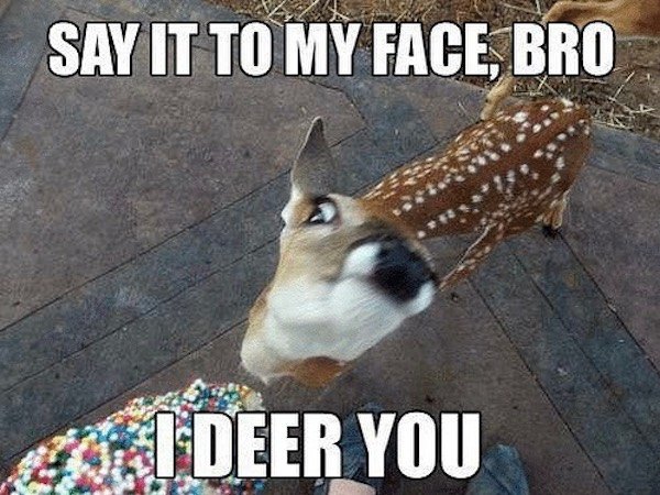 igreja nossa senhora do carmo (ouro preto) - Say It To My Face, Bro I Deer You