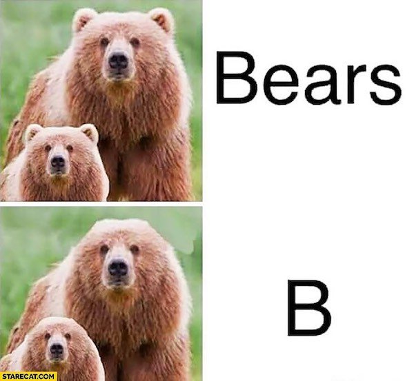 bears b meme - Bears Starecat.Com