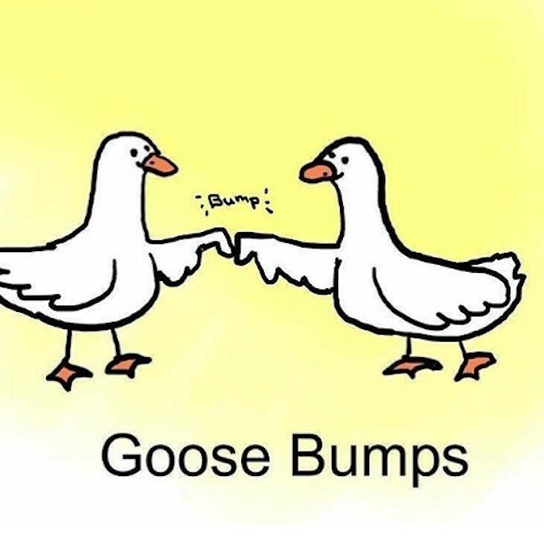 goose bumps - Bump! Goose Bumps