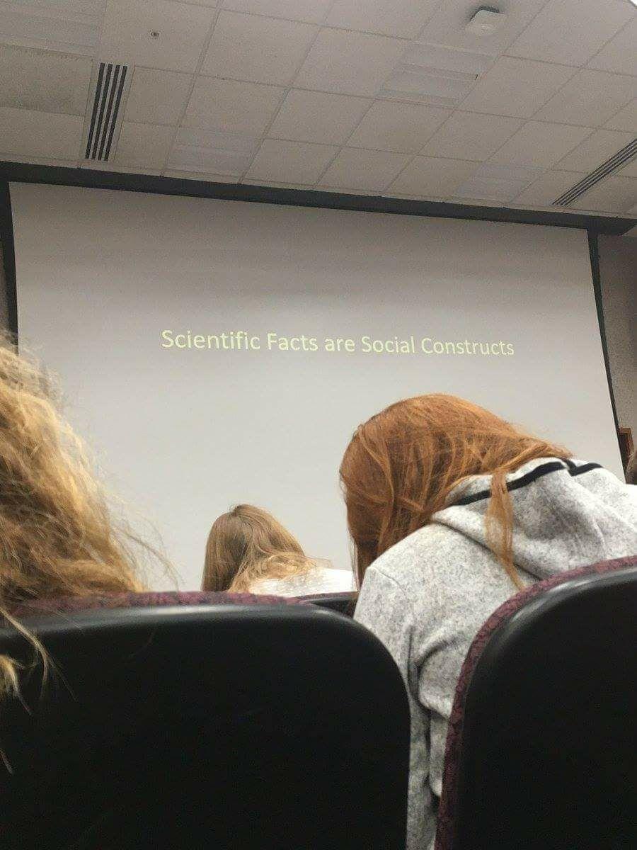 scientific facts are social constructs - Scientific Facts are Social Constructs
