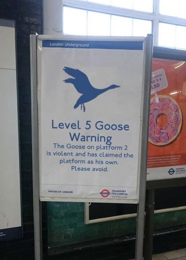 level 5 goose warning - London Underground Level 5 Goose Warning The Goose on platform 2 is violent and has claimed the platform as his own. Please avoid Mayor Of London Transport For London