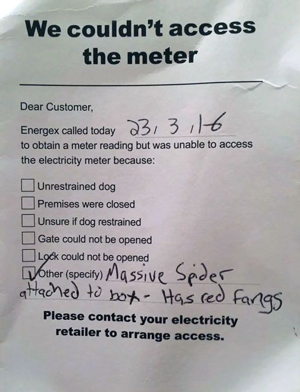 countries memes - We couldn't access the meter Dear Customer, Energex called today to obtain a meter reading but was unable to access the electricity meter because Unrestrained dog Premises were closed Unsure if dog restrained Gate could not be opened Loc