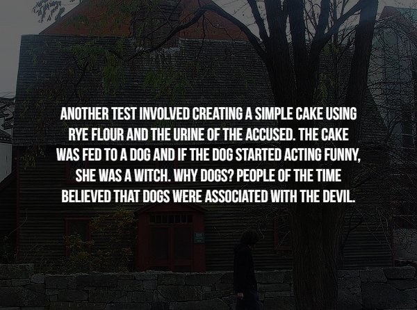 tree - Another Test Involved Creating A Simple Cake Using Rye Flour And The Urine Of The Accused. The Cake Was Fed To A Dog And If The Dog Started Acting Funny. She Was A Witch. Why Dogs? People Of The Time Believed That Dogs Were Associated With The Devi